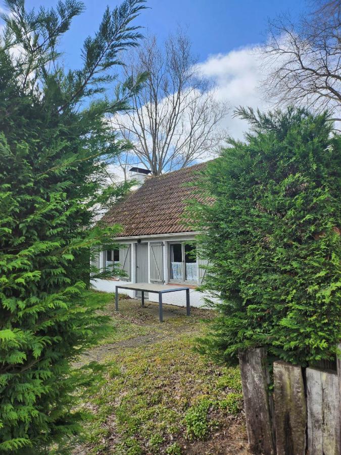 Maison Sunpark Oostduinkerk 550 Villa Коксейде Екстериор снимка